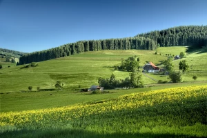 Piękne i eleganckie koszule ślubne - wybierz idealną koszulę do ślubu dla siebie!